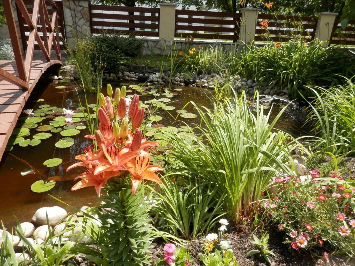 Studio Garden View,1147487788:JPEG