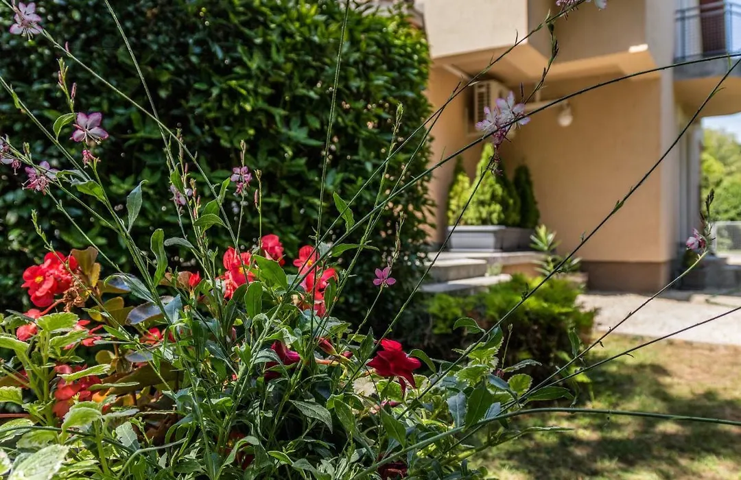 Villa 21 Boutique Rooms-1