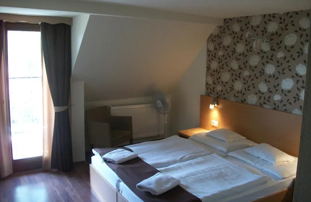 Hotel Viktória-1