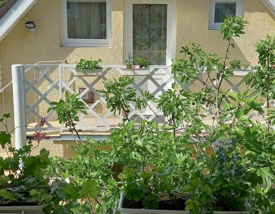 Patrik Apartman-1