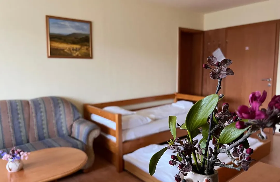 Aqua Therm Villa - Hotel Zalakaros-1