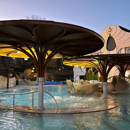 Flavius Spa Residence-3