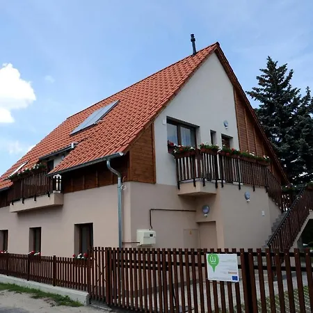 Arany Szolo Wellness Apartmanhaz-3