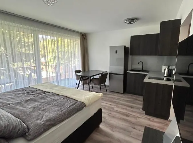 Villa Bauhaus Dream Deluxe Siófok