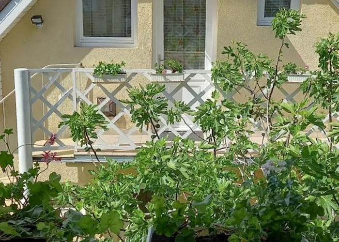 Patrik Apartman Siofok